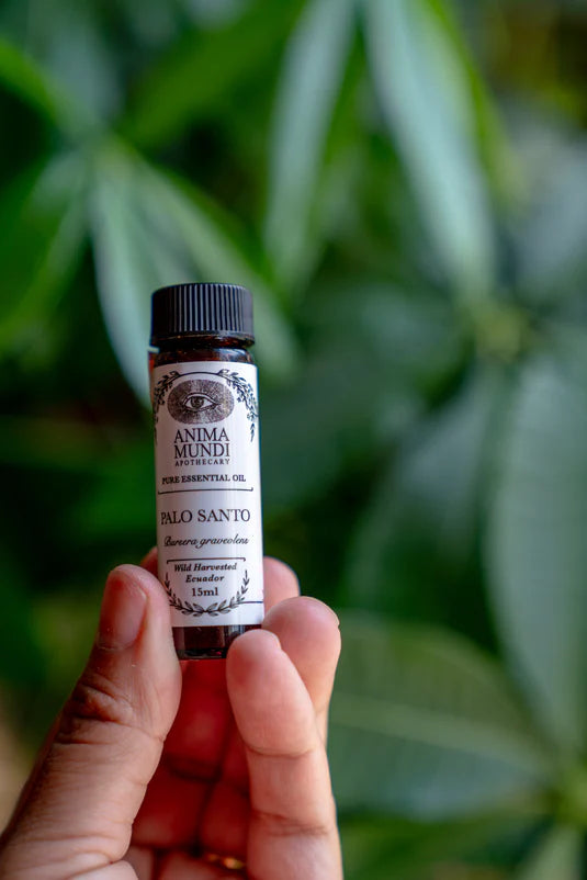 Palo Santo Essential Oil