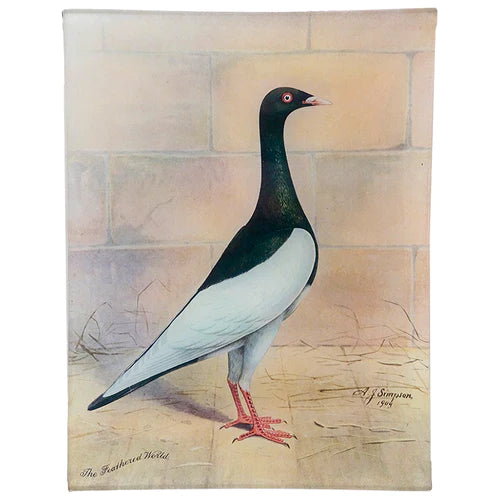 Black Magpie Rectangular Tray