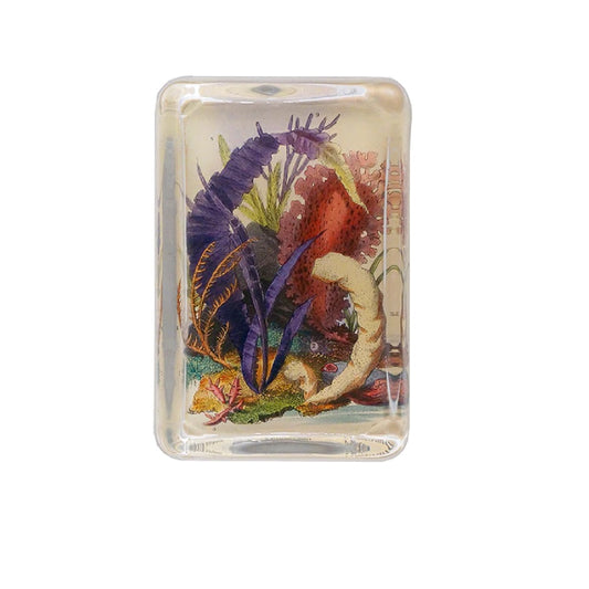 Sea Life Paperweight