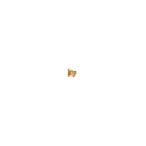 Gold earring on a white background