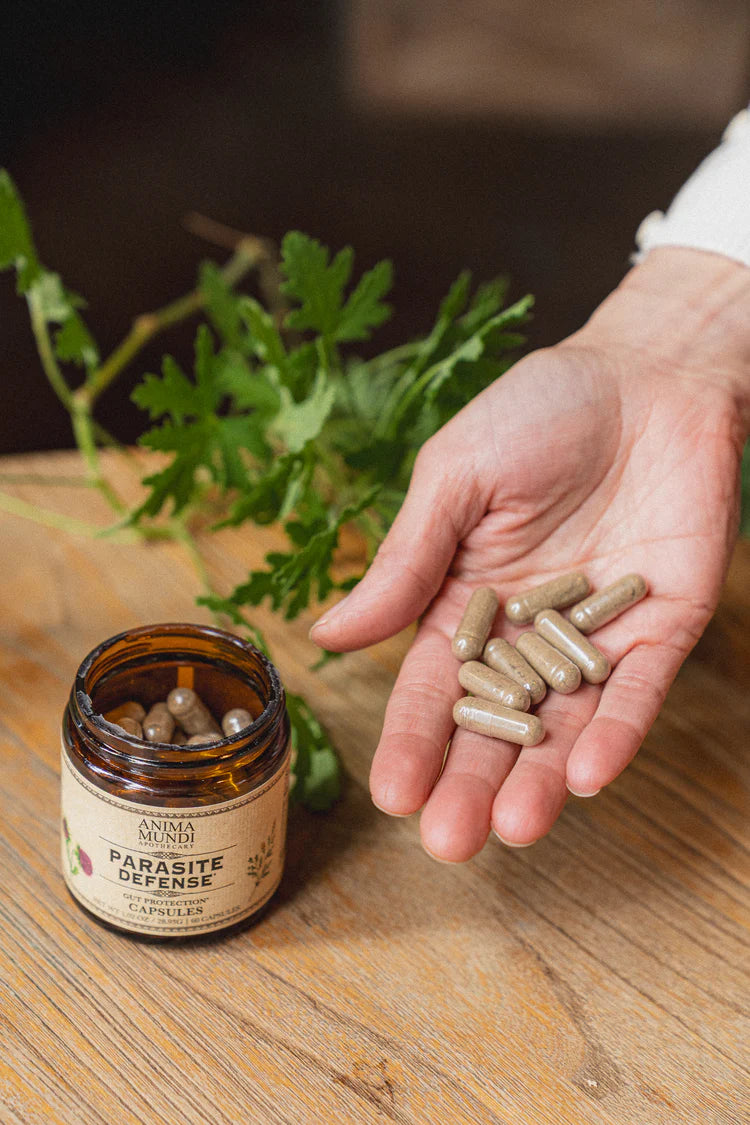 Para-Herb Defense Capsules