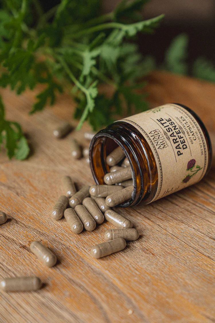 Para-Herb Defense Capsules