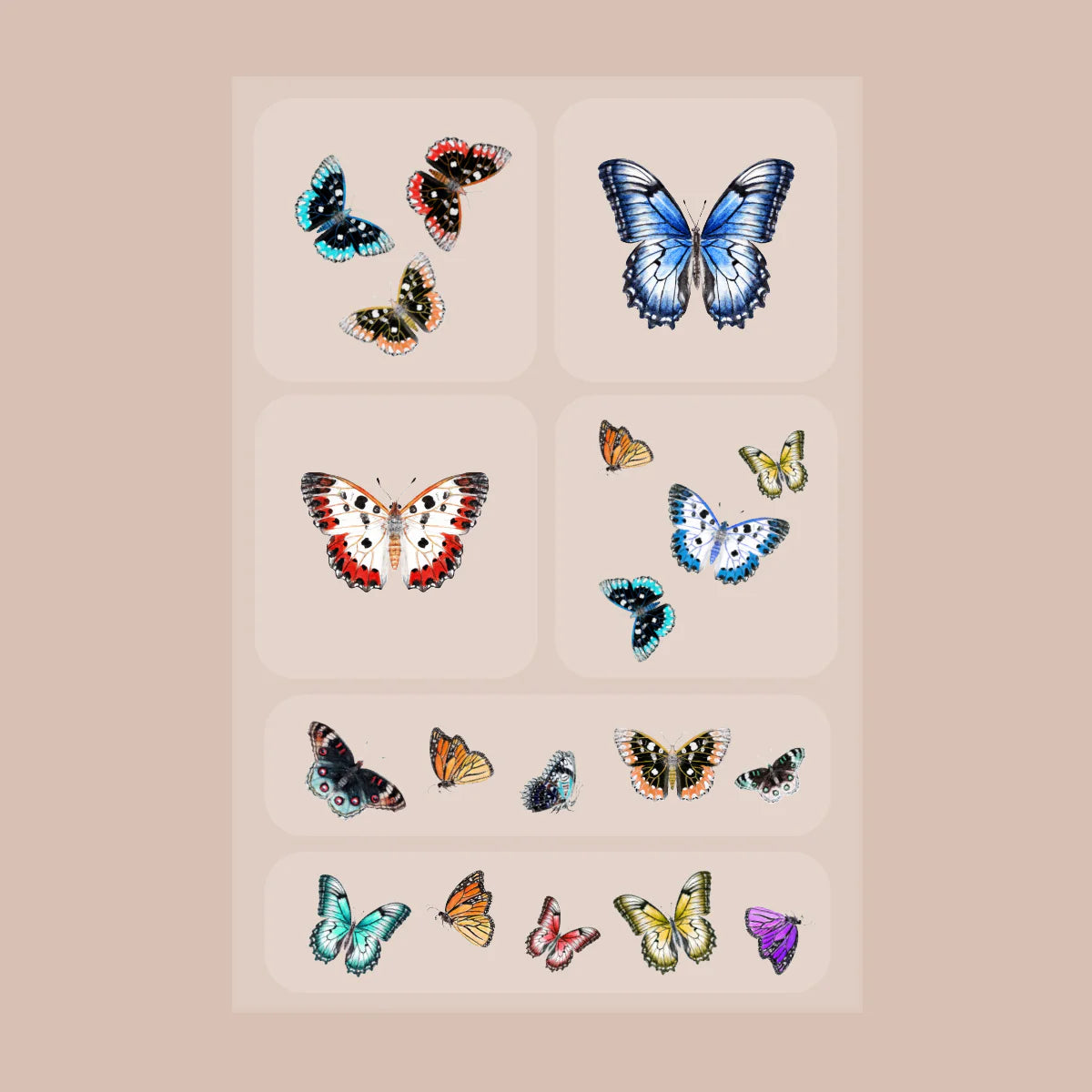 Brains & Beauty Patch Butterflies