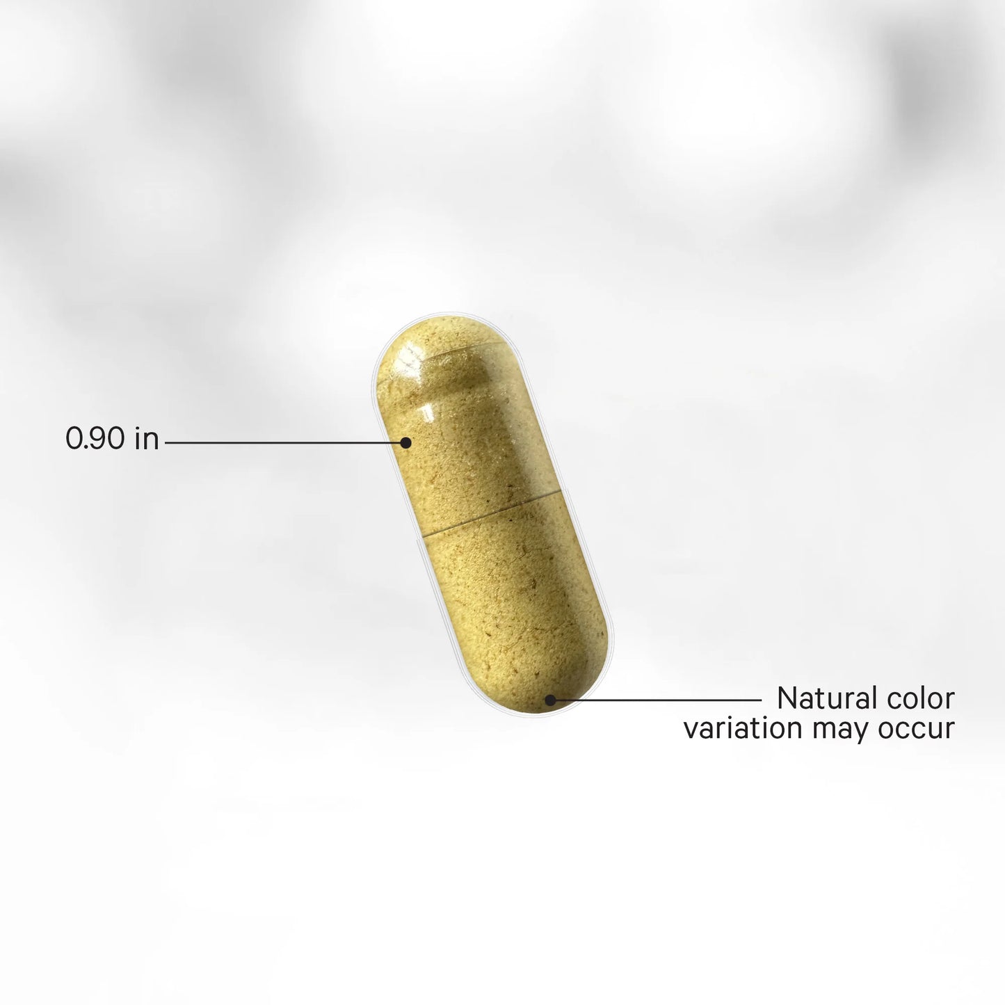 Fermented Digestive Enzymes+ Large