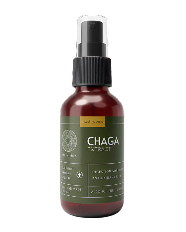 Chaga Extract