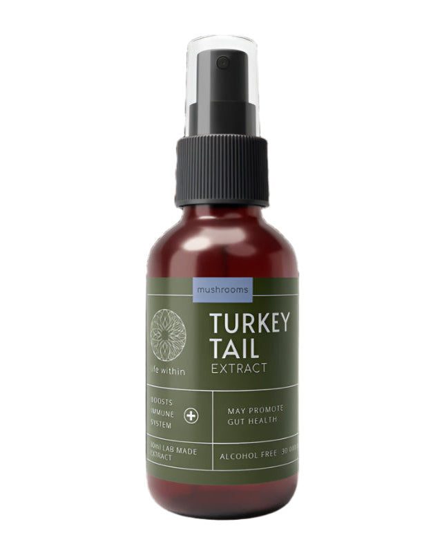 Turkey Tail Extract
