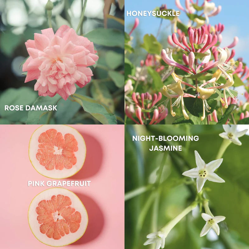 Rose Quartz Perfume Eau de Toilette
