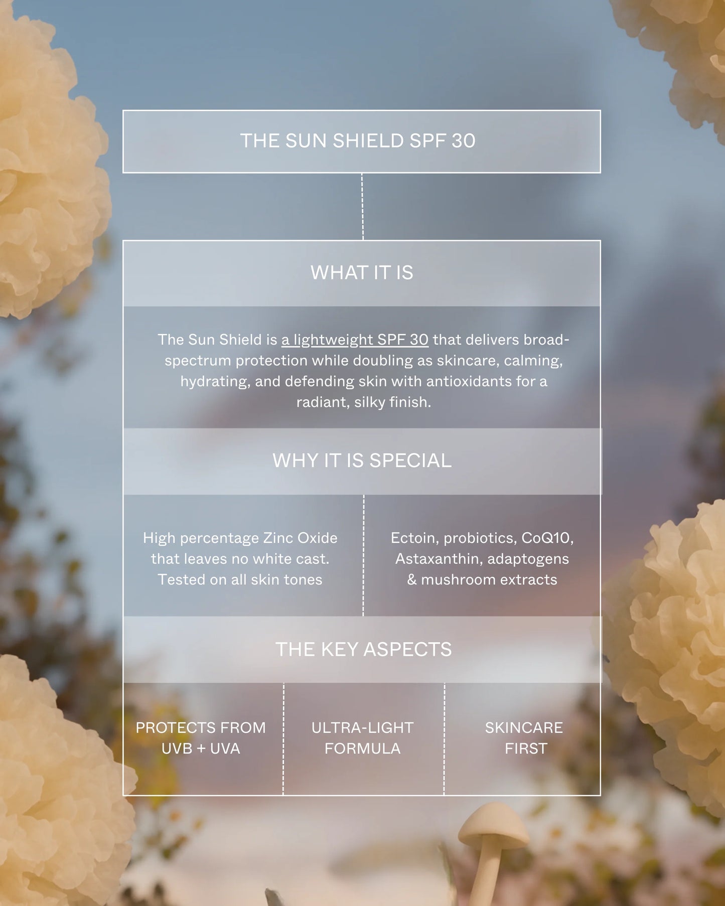 Sun Shield SPF 30