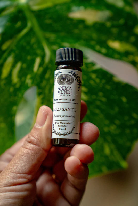 Palo Santo Essential Oil