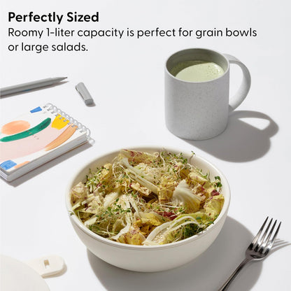 Portable Ceramic Lunch Bowl Slate
