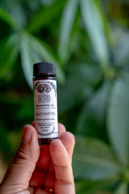 Palo Santo Essential Oil
