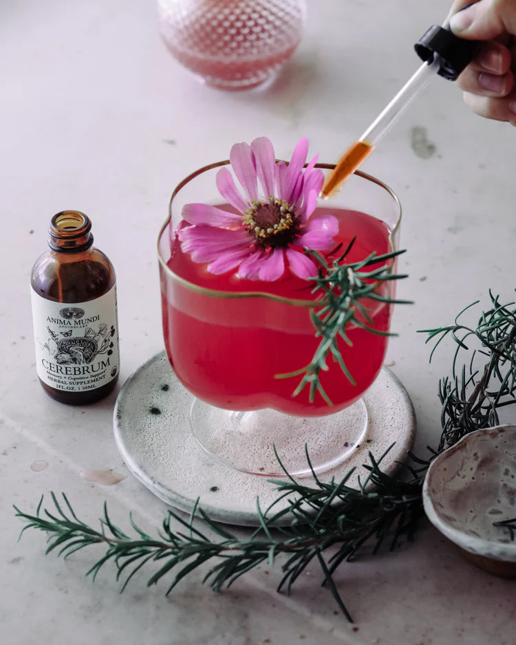 Cerebrum Tonic | Memory + Energy