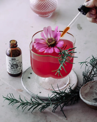 Cerebrum Tonic | Memory + Energy