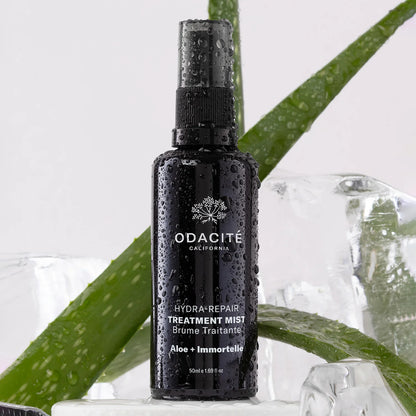Hydra Repair Treatment Mist