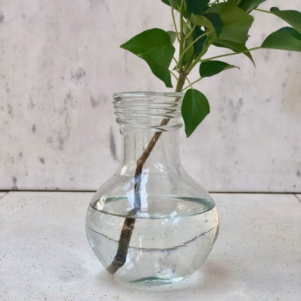 Vase Ampoule