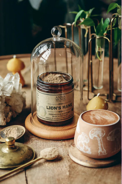 Lions Mane Cognitive | Brain Super-Tonic