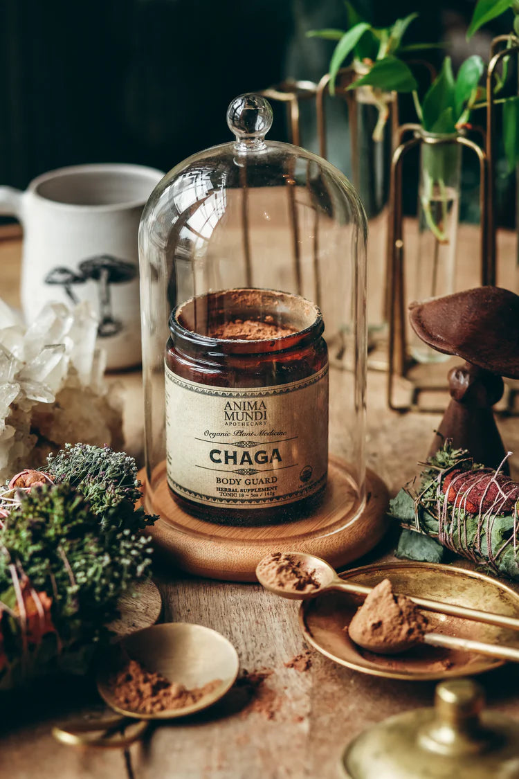 Chaga Body Guard