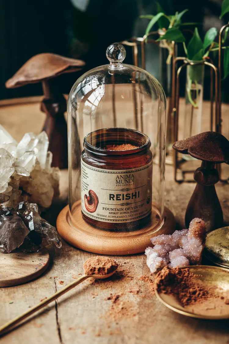 Reishi Super Tonic