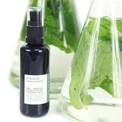 Hydra-purify Mint + Green Tea Treatment Mist