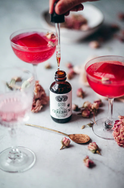 Cerebrum Tonic | Memory + Energy