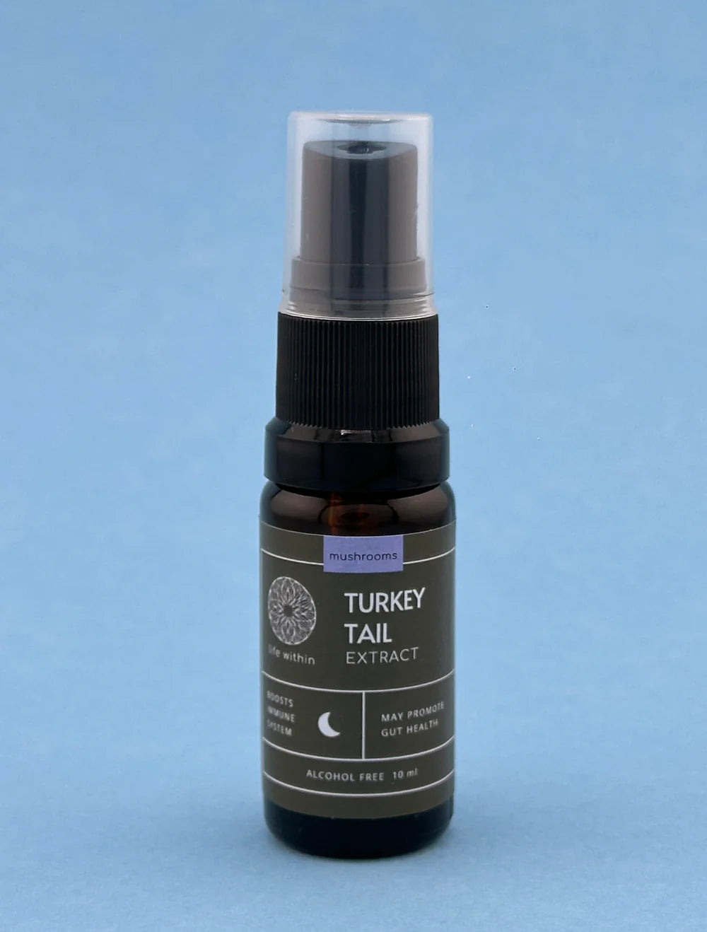 Turkey Tail Extract (10ml & 30ml)