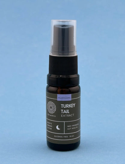 Turkey Tail Extract (10ml & 30ml)