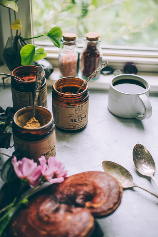 Reishi Super Tonic