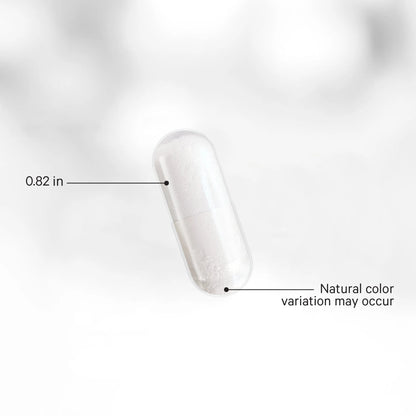 GLP-1 Probiotic+