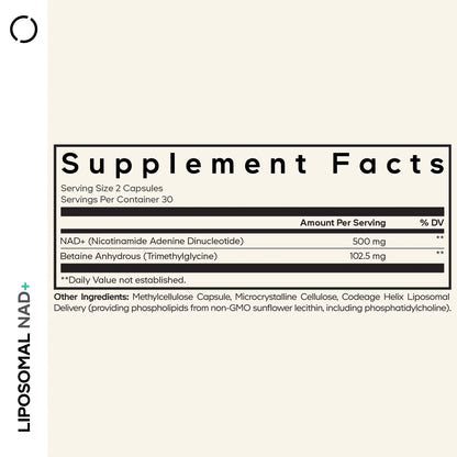 Liposomal NAD+