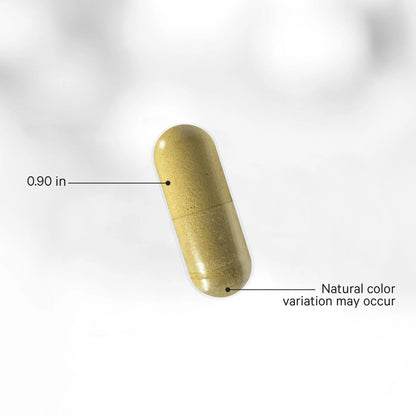 Men's Daily Multivitamin+