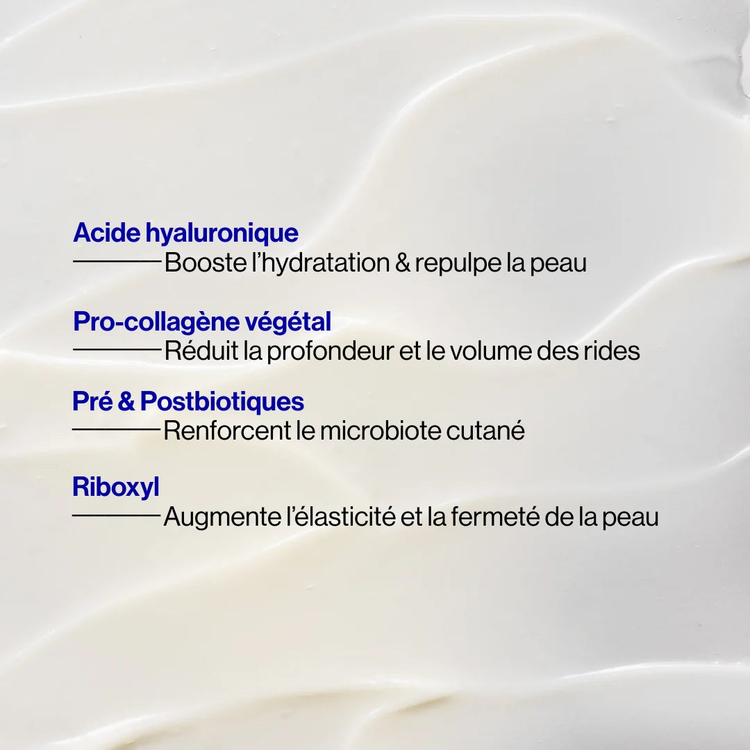 Prebiotic Regenerating Night Cream