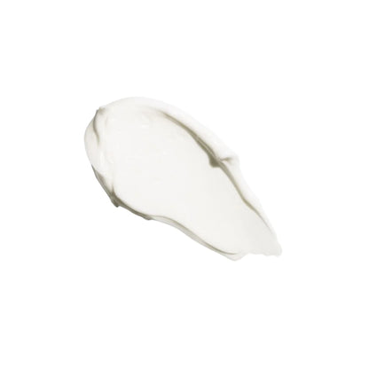 Prebiotic Regenerating Night Cream