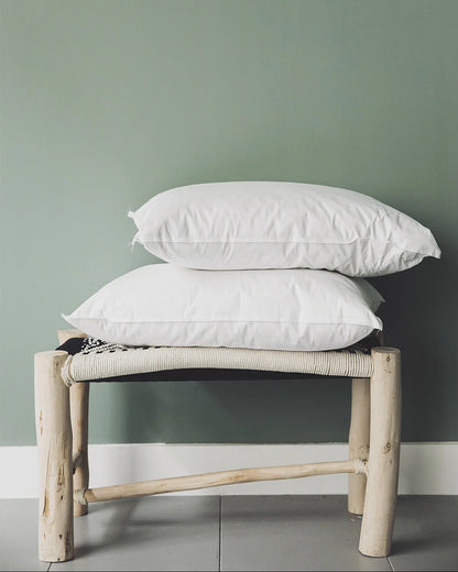 Duck Feather Cushion
