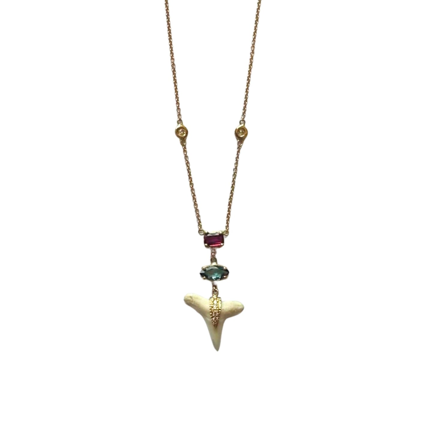 White Shark Tooth Necklace
