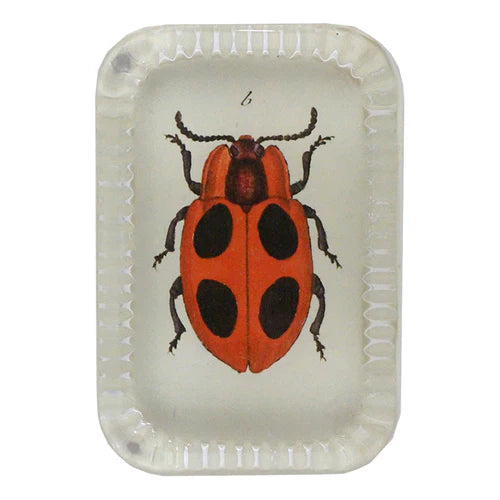 Big Dot Ladybug Dotted Edge Paperweight