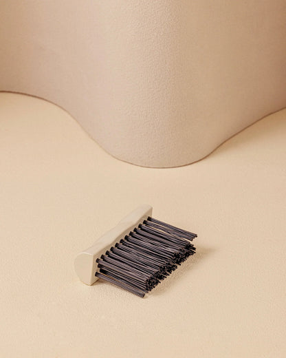Cleaning Brush