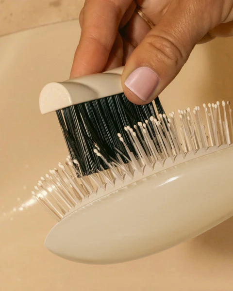 Cleaning Brush