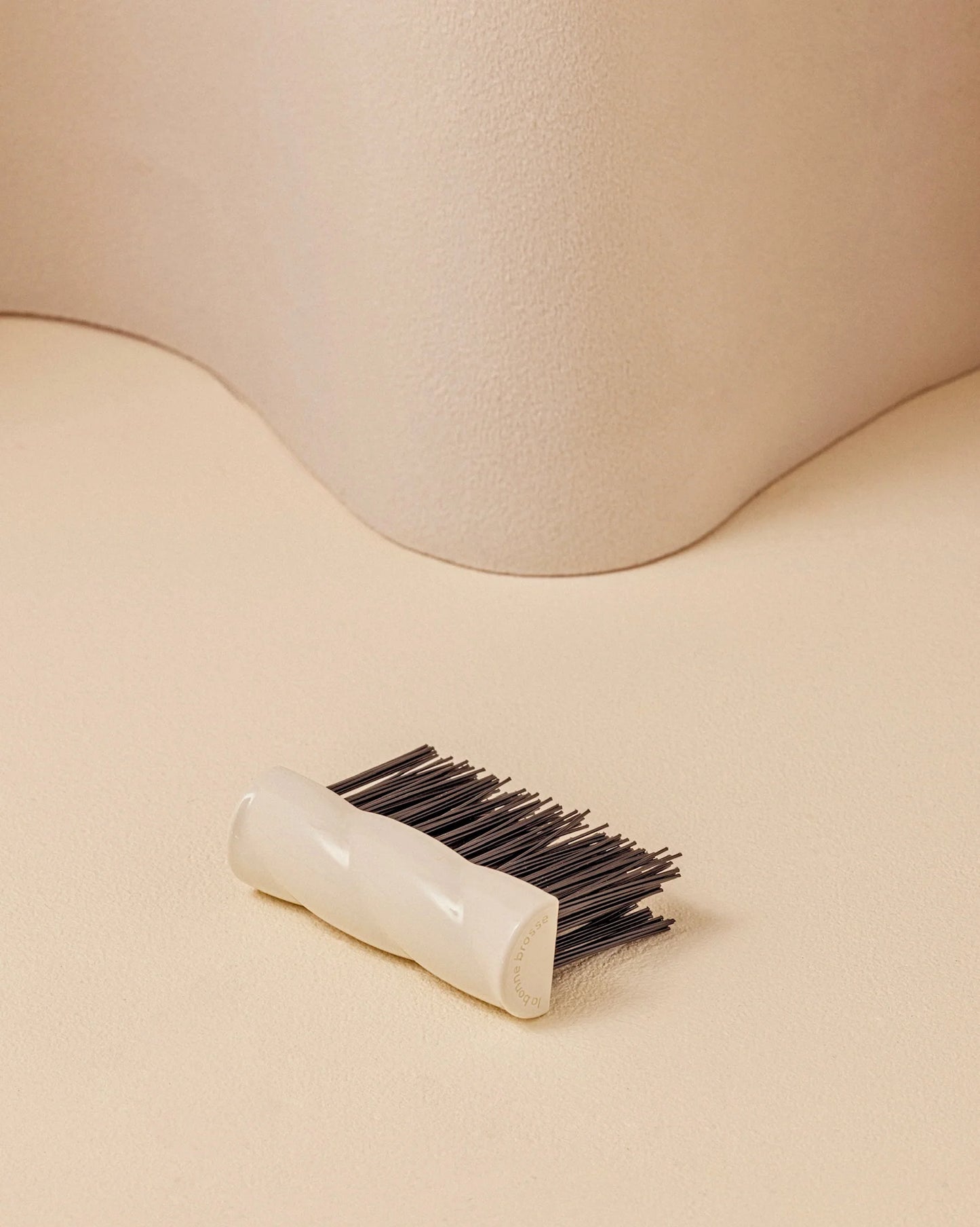 Cleaning Brush