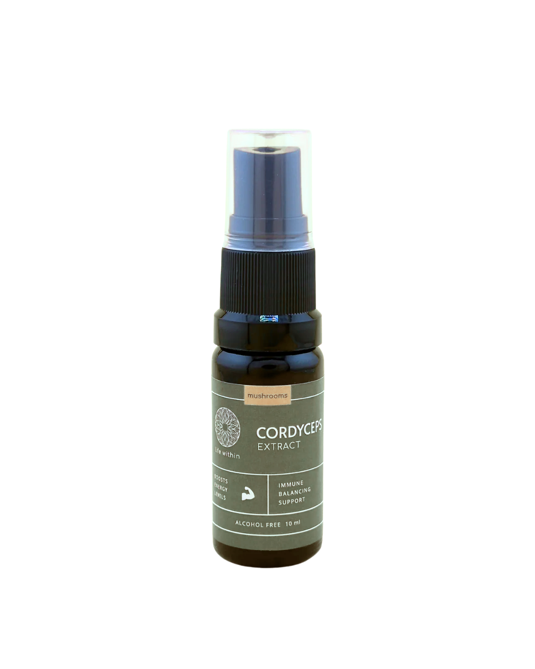 Cordyceps Extract (10 ml & 30 ml)