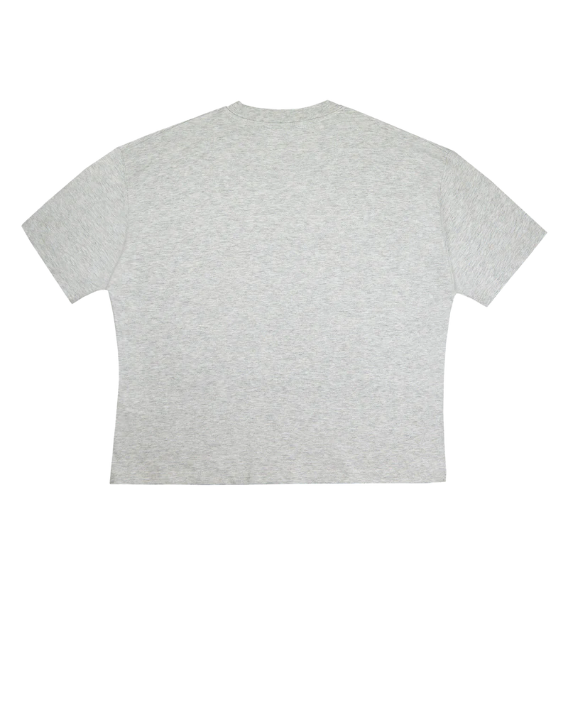 Divine Light Tee Grey