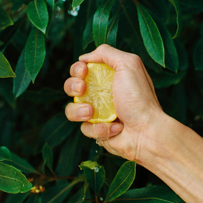 Citrusy Joy Hand Sanitiser