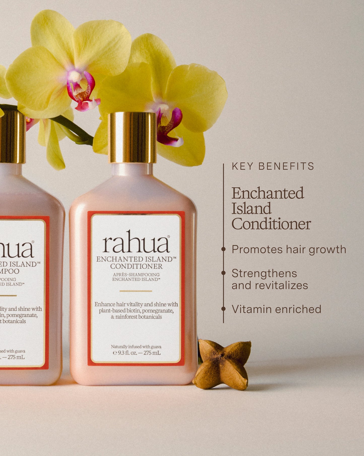 Enchanted Island™ Conditioner