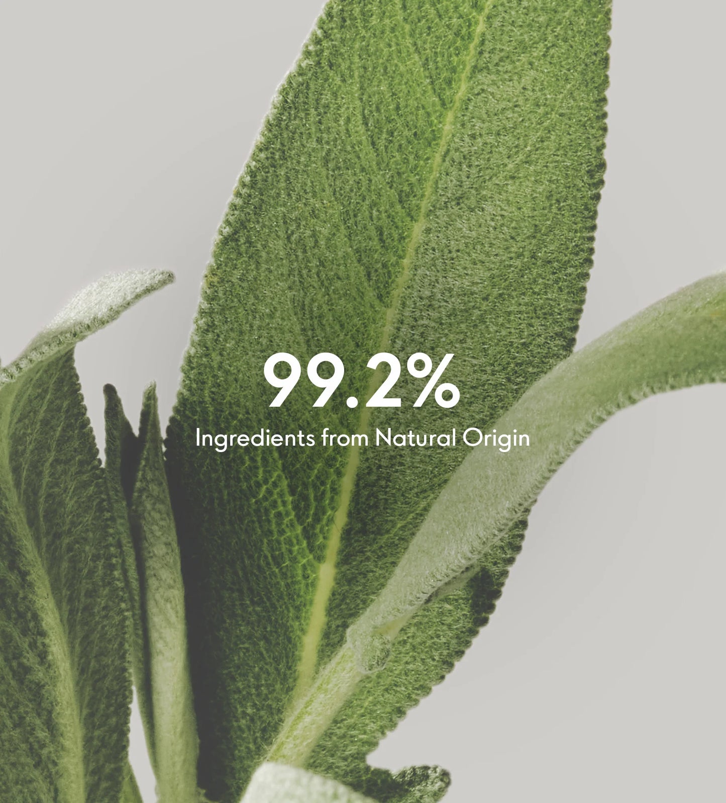 Susanne Kaufmann Advanced Anti-Ageing Rich Cream - Clean Beauty - Comptoir 102 - Dubai