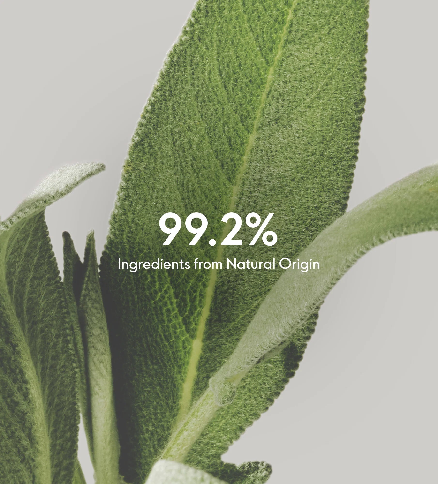 Susanne Kaufmann Advanced Anti-Ageing Rich Cream - Clean Beauty - Comptoir 102 - Dubai