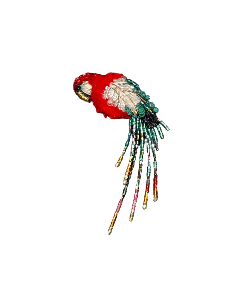 Arara Macao Brooch