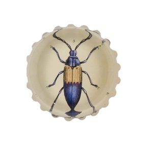 Blue Beetle paperweight johnderian